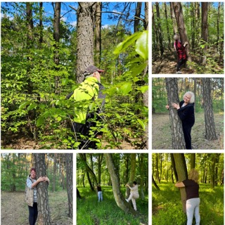 Project activity photo
